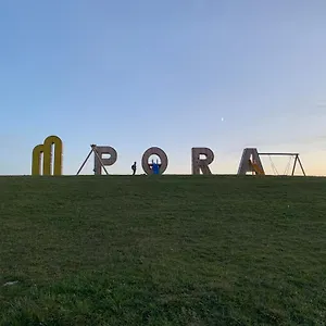 Bellissimo Bilocale Sky Paradise Mt.1400 Monte Pora Appartamento